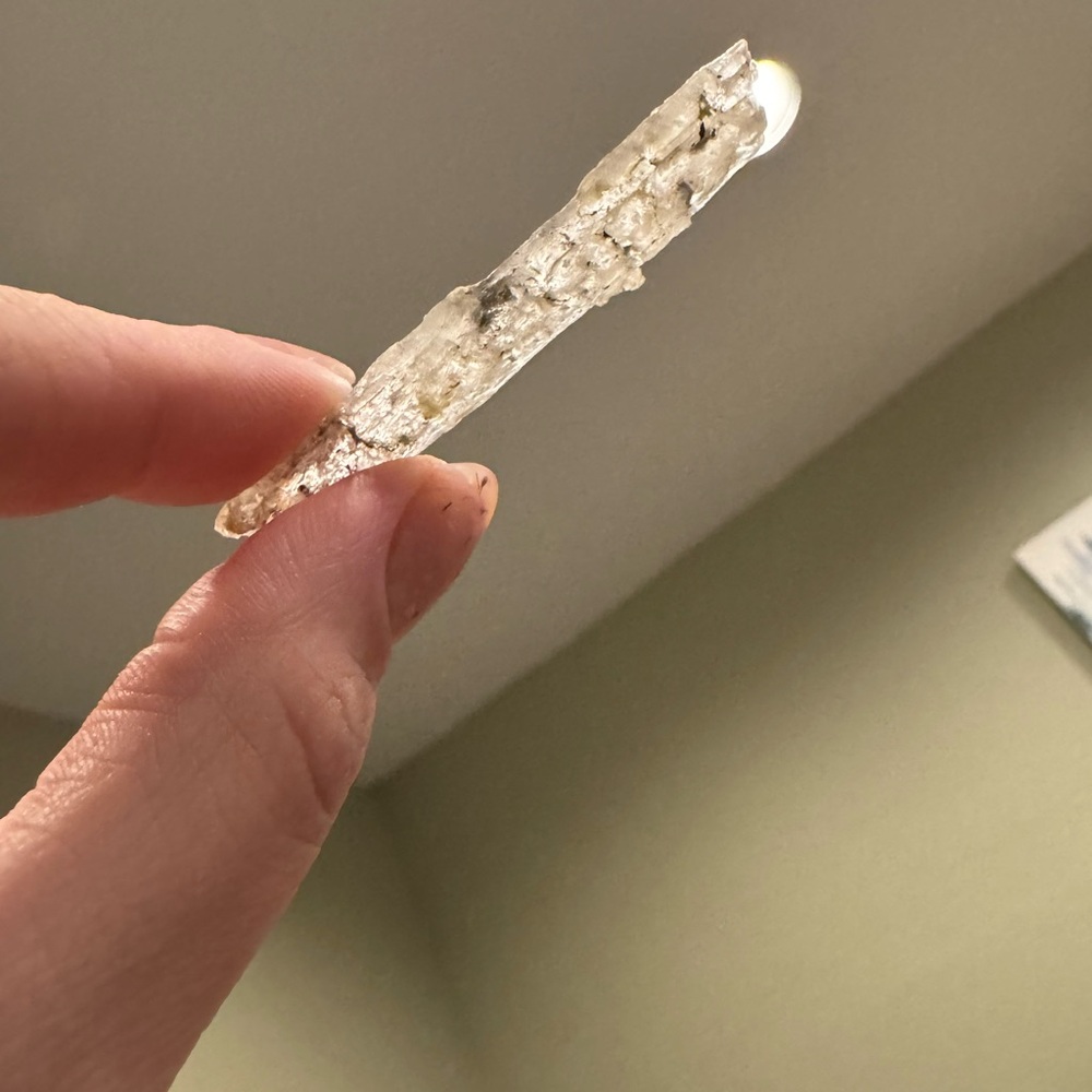 Natural selenite on gypsum hand picked in western Colorado